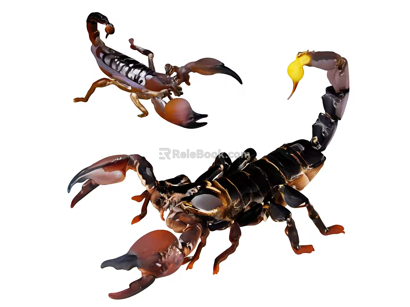 scorpion machine insect mechanical insect armored insect animal reptile poisonous insect 3d model