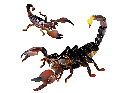 scorpion machine insect mechanical insect armored insect animal reptile poisonous insect 3d model