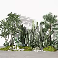 Green Plants Featuring Tall Palm Trees and Cacti on Moss Covered Ground With White Pebbles