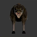 Detailed Fantasy Crocodile Head Horse Body Creature With Saddle And Reins