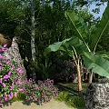 Beautiful Garden Landscape with Trees Pavilion Rocks Purple Flowers and Green Shrubs