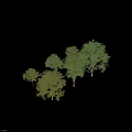 Different Arbor Tree Types Showcasing Green and Yellow Foliage Collection 3d model