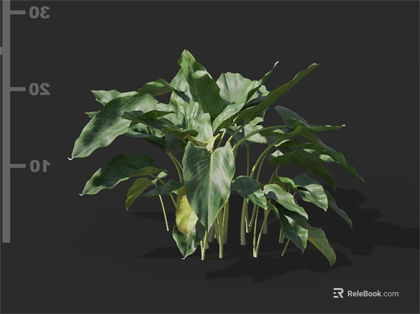 Lush Green Indoor Plant With Large Leaves And Vibrant Foliage Growth 3d model 