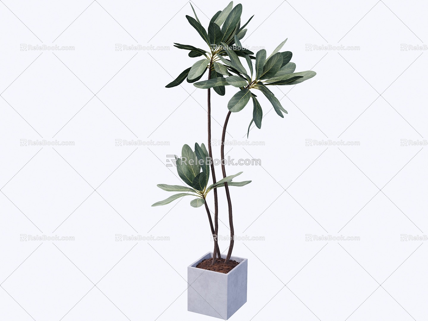 indoor potted plant 3d model