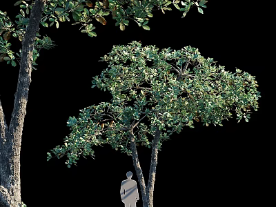 Natural Ornament Decoration Set With Green Trees And Human Silhouette 3d model