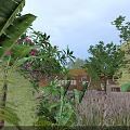 Tropical Garden Landscape With Lush Greenery Pink Flowers Purple Grass Small House And Blue Sky