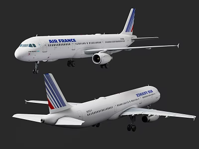 Air France Passenger Jets Exhibited In Different Angles 3d model