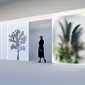 Modern Shop Window Display With Tree Shadow Green Plants And Bright Lighting