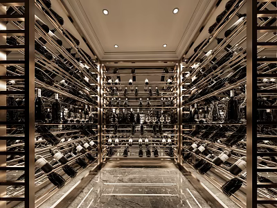 Luxurious Modern Wine Cellar With Metal Racks Wine Bottles Marble Floor And Lighting 3d model
