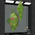 Modern Indoor Garden Accents With Vertical Green Wall Hanging Plants And Black Stone Wall