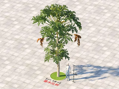Tall Arbor with Green Foliage on Paved Ground and Person Near No Climbing Sign 3d model