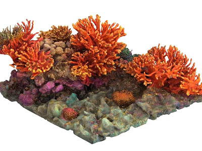 Vibrant Aquatic Plants With Orange Coral And Colorful Stones In Marine Habitat 3d model