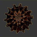 Natural Dried Pine Cone Plant With Brown Red Scales And Conical Shape