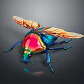 Colorful Iridescent Beetle with Shiny Metallic Exoskeleton and Transparent Wings on Dark Reflective Background