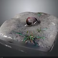 Brown Snail Crawling On Gray Square Stone With Fresh Green Grass