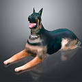 German Shepherd Dog Lying Down With Open Mouth And Collar On Gray Background