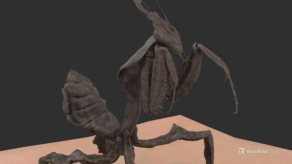 Detailed Dark Brown Mantis Sculpture With Dynamic Pose And Articulated Limbs 3d model 
