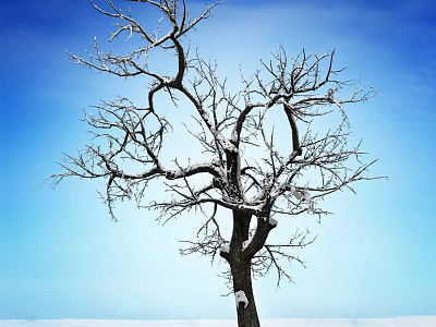 Leafless Arbor With Snow Covered Branches Against Blue Sky Background 3d model