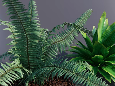 Lush Potted Bonsai Plants With Ferns And Green Foliage On Gray Background And Visible Soil 3d model