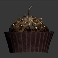Dark Spiky Fruit with White Spots in Paper Cup and Small Stem on Top