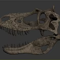 Detailed T Rex Dinosaur Skull With Visible Skeletal Organs And Sharp Teeth Structure 3d model