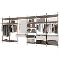 Modern Closet Interior with Hanging Clothes Shelves Drawers Mirror and Storage Boxes