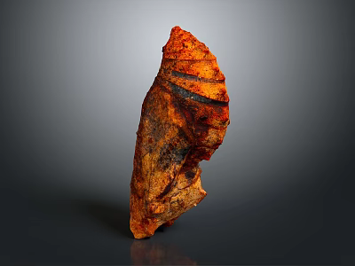 Grilled Pork Rib With Orange Red Color And Roasted Surface Texture On Dark Background 3d model