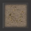 Golden Wheat Stalks Growing On Square Sandy Ground With Dark Background