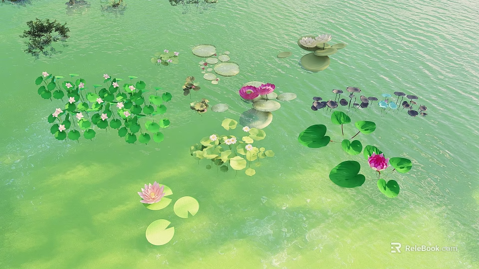 Beautiful Aquatic Flowers Plants With Lily Pads Lotus Blooms Duckweed On Green Water Surface 3d model 