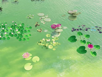 Modern Lotus Water Lily Lotus 3d model