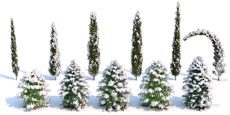 Snow Covered Evergreen Trees With Various Shapes And Different Heights In Winter Landscape 3d model 