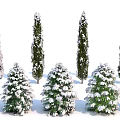 Snow Covered Evergreen Trees With Various Shapes And Different Heights In Winter Landscape