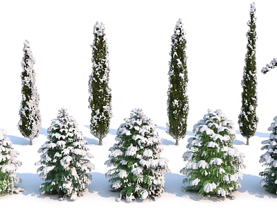 Snow Covered Evergreen Trees With Various Shapes And Different Heights In Winter Landscape 3d model