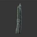 Green Columnar Cactus Plant With Multiple Stems On Dark Background With Reflection