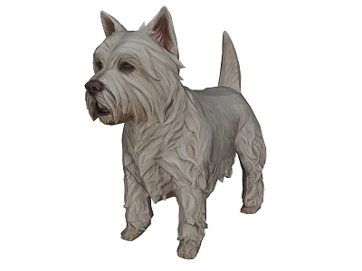 White West Highland Terrier Dog Standing With Shaggy Fur And Alert Ears 3d model