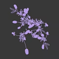 Delicate Wildflowers Featuring Green Foliage And Pink Spikes On Slender Stems