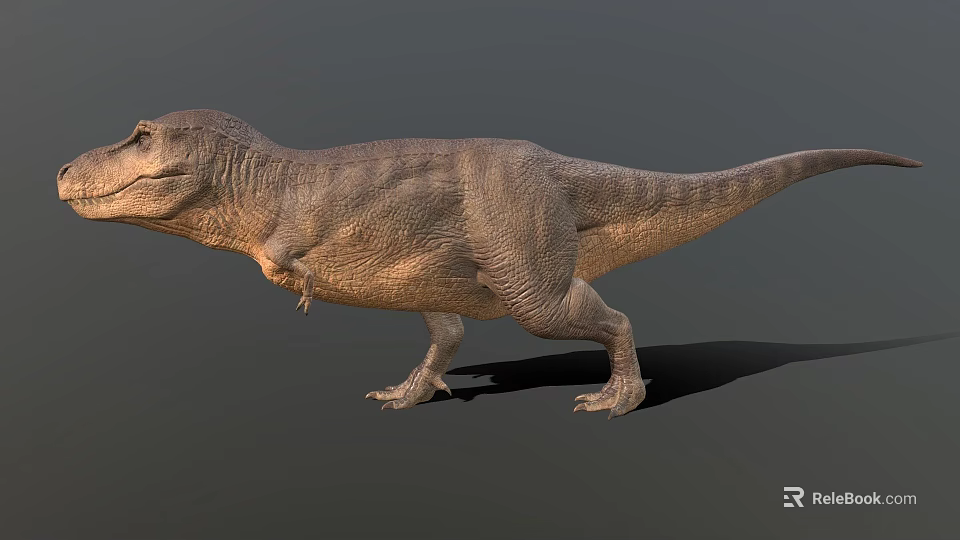 Realistic 3D T Rex Dinosaur Standing With Detailed Texture And Gray Background 3d model 