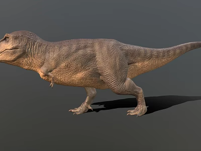 Realistic 3D T Rex Dinosaur Standing With Detailed Texture And Gray Background 3d model