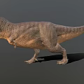 Realistic 3D T Rex Dinosaur Standing With Detailed Texture And Gray Background 3d model