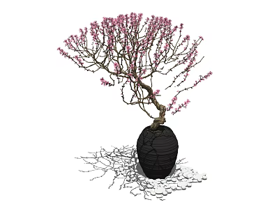 Bonsai Plant With Pink Flowering Branches In Black Decorative Pot 3d model