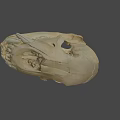 Detailed Animal Skull Skeleton With Visible Teeth And Bone Structure