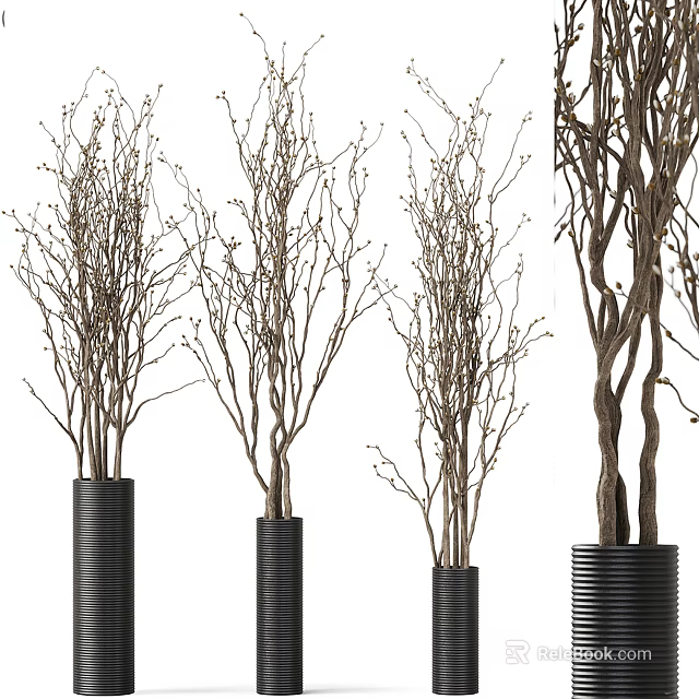 Bonsai Plants with Slender Branches in Black Cylindrical Pots for Indoor Decor 3d model 