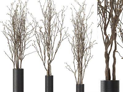 Bonsai Plants with Slender Branches in Black Cylindrical Pots for Indoor Decor 3d model