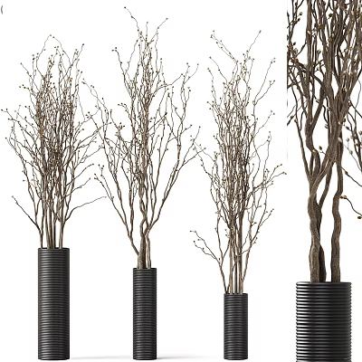 Bonsai Plants with Slender Branches in Black Cylindrical Pots for Indoor Decor 3d model