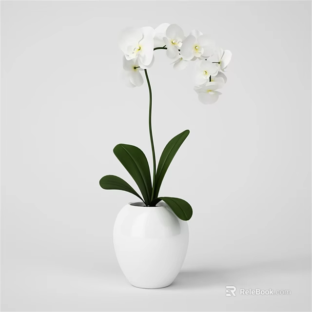 White Round Vase With White Orchids And Green Leaves For Home Decor 3d model 