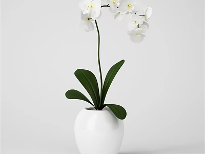 White Round Vase With White Orchids And Green Leaves For Home Decor 3d model