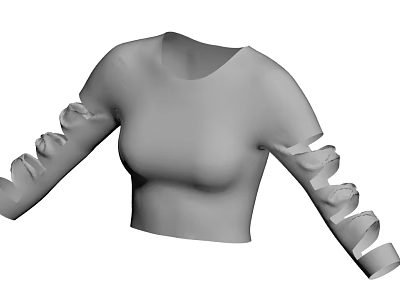 Gray Cropped Short Sleeve Top With Ripped Sleeves And Fitted Design 3d model