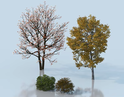 Two Tall Trees With Pink Blossoms And Yellow Foliage And Small Shrubs In Front 3d model