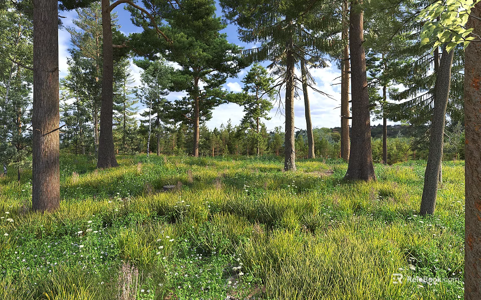 Serene Pine Forest Landscape With Lush Green Grass And Tiny Wildflowers Under Bright Blue Sky 3d model 
