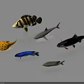 Various Aquatic Animals Featuring Striped Shark Yellow Spotted Blue And Green Fish